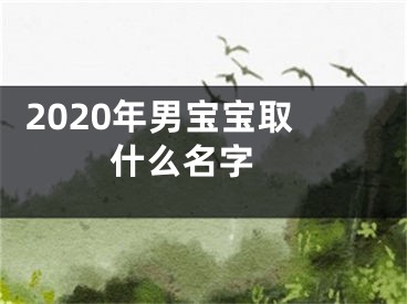  2020年男宝宝取什么名字 