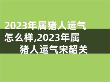 2023年属猪人运气怎么样,2023年属猪人运气宋韶关