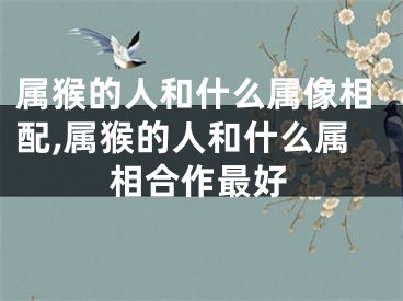 属猴的人和什么属像相配,属猴的人和什么属相合作最好