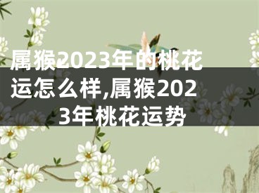 属猴2023年的桃花运怎么样,属猴2023年桃花运势