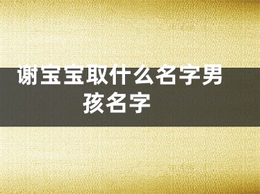  谢宝宝取什么名字男孩名字 