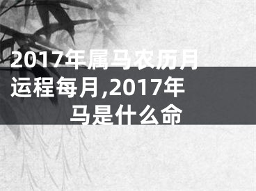 2017年属马农历月运程每月,2017年马是什么命