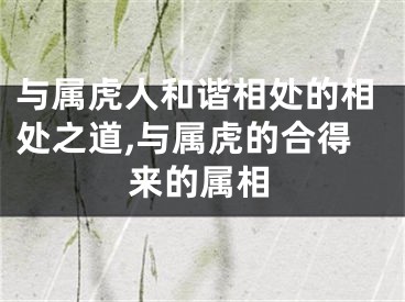 与属虎人和谐相处的相处之道,与属虎的合得来的属相