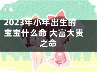 2023年小年出生的宝宝什么命 大富大贵之命