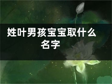  姓叶男孩宝宝取什么名字 