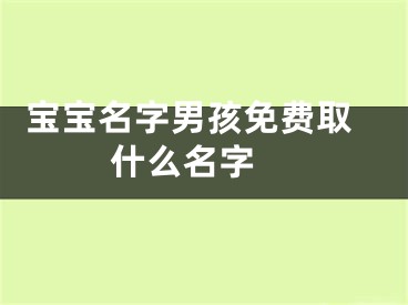  宝宝名字男孩免费取什么名字 