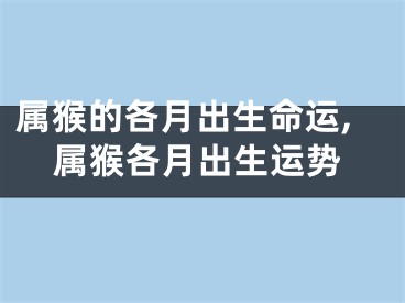 属猴的各月出生命运,属猴各月出生运势