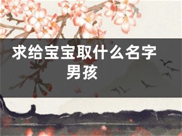  求给宝宝取什么名字男孩 