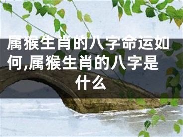 属猴生肖的八字命运如何,属猴生肖的八字是什么