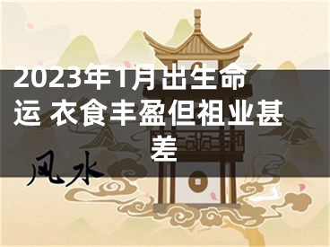 2023年1月出生命运 衣食丰盈但祖业甚差