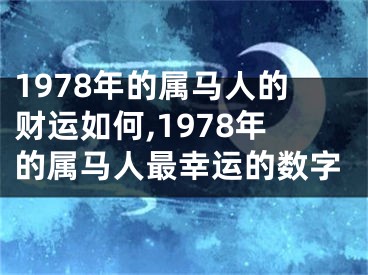 1978年的属马人的财运如何,1978年的属马人最幸运的数字