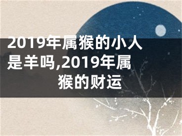 2019年属猴的小人是羊吗,2019年属猴的财运