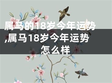 属马的18岁今年运势,属马18岁今年运势怎么样