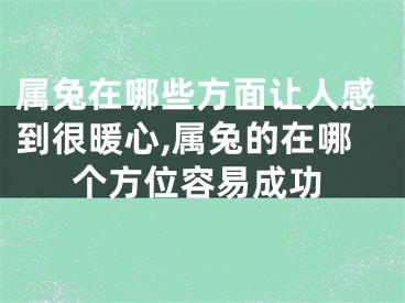 属兔在哪些方面让人感到很暖心,属兔的在哪个方位容易成功