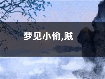 梦见小偷,贼