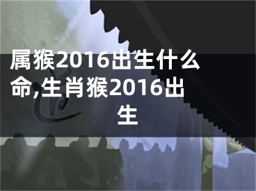 属猴2016出生什么命,生肖猴2016出生