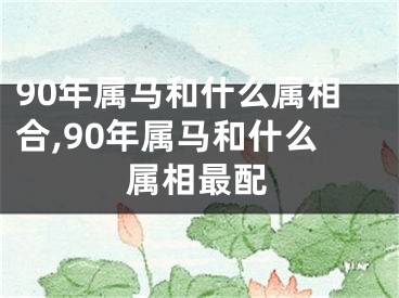 90年属马和什么属相合,90年属马和什么属相最配