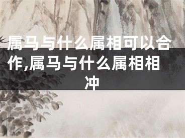 属马与什么属相可以合作,属马与什么属相相冲