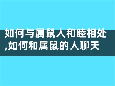 如何与属鼠人和睦相处,如何和属鼠的人聊天