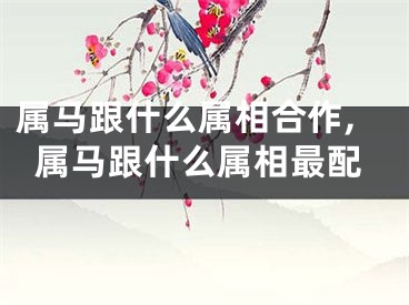 属马跟什么属相合作,属马跟什么属相最配