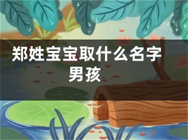  郑姓宝宝取什么名字男孩 