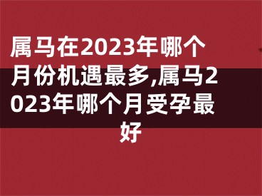 属马在2023年哪个月份机遇最多,属马2023年哪个月受孕最好