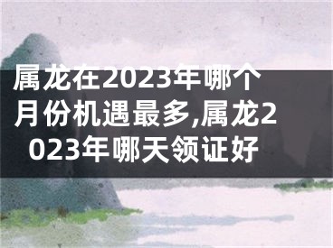 属龙在2023年哪个月份机遇最多,属龙2023年哪天领证好