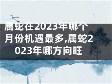 属蛇在2023年哪个月份机遇最多,属蛇2023年哪方向旺