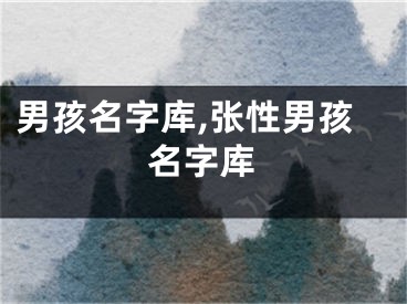 男孩名字库,张性男孩名字库