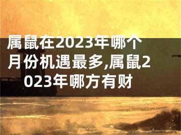 属鼠在2023年哪个月份机遇最多,属鼠2023年哪方有财