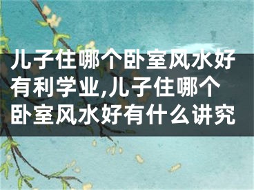 儿子住哪个卧室风水好有利学业,儿子住哪个卧室风水好有什么讲究