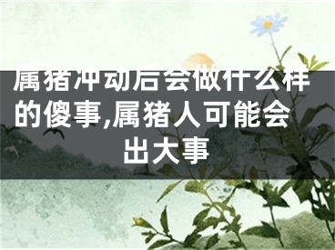 属猪冲动后会做什么样的傻事,属猪人可能会出大事