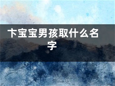  卞宝宝男孩取什么名字 