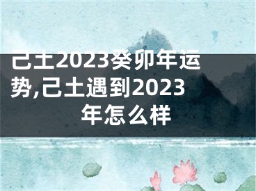 己土2023癸卯年运势,己土遇到2023年怎么样