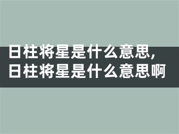 日柱将星是什么意思,日柱将星是什么意思啊