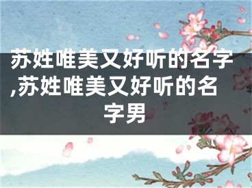 苏姓唯美又好听的名字,苏姓唯美又好听的名字男