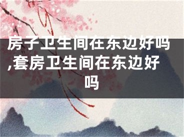 房子卫生间在东边好吗,套房卫生间在东边好吗