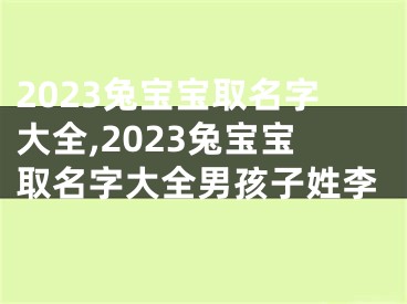 2023兔宝宝取名字大全,2023兔宝宝取名字大全男孩子姓李