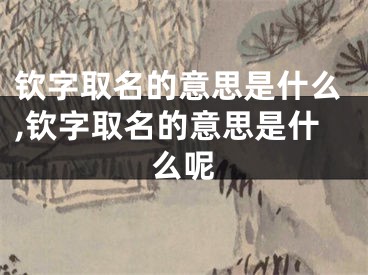 钦字取名的意思是什么,钦字取名的意思是什么呢