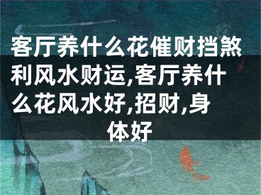 客厅养什么花催财挡煞利风水财运,客厅养什么花风水好,招财,身体好