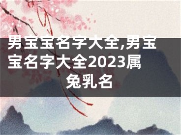 男宝宝名字大全,男宝宝名字大全2023属兔乳名