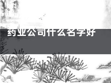  药业公司什么名字好 