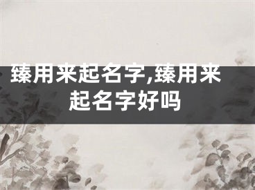 臻用来起名字,臻用来起名字好吗