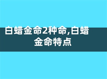 白蜡金命2种命,白蜡金命特点