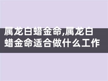 属龙白蜡金命,属龙白蜡金命适合做什么工作