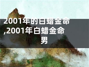 2001年的白蜡金命,2001年白蜡金命男