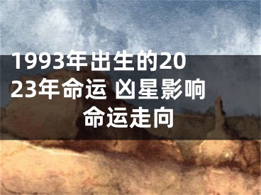 1993年出生的2023年命运 凶星影响命运走向