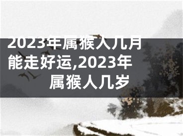 2023年属猴人几月能走好运,2023年属猴人几岁