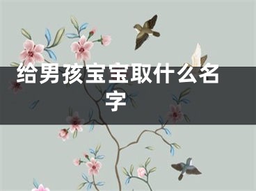  给男孩宝宝取什么名字 