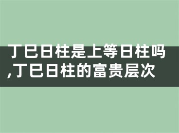 丁巳日柱是上等日柱吗,丁巳日柱的富贵层次